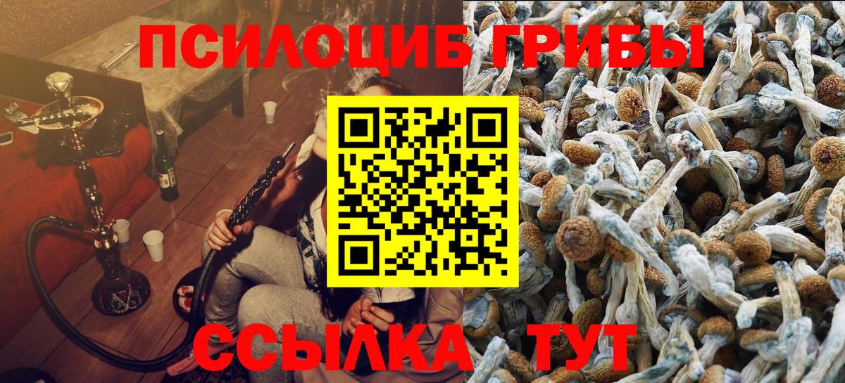 Псилоцибиновые грибы Psilocybe  Псилоцибиновые грибы Psilocybine cubensis  Вход с VPN  Сегежа 